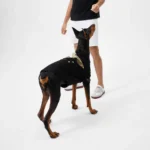 BOYLONDON Pet Shirt6