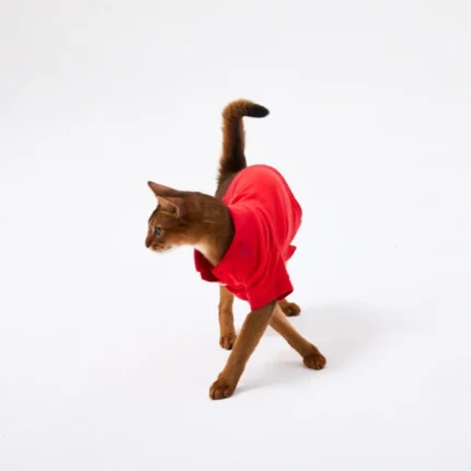 RL-Red-Pet-Polo-2