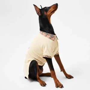 Burberry Pet polo shirt