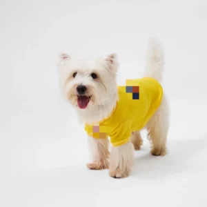 Dickies Sweatshirt Yellow1