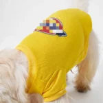 Dickies Sweatshirt Yellow1