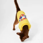 Dickies Sweatshirt Yellow1