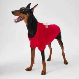 Dickies Sweatshirt red