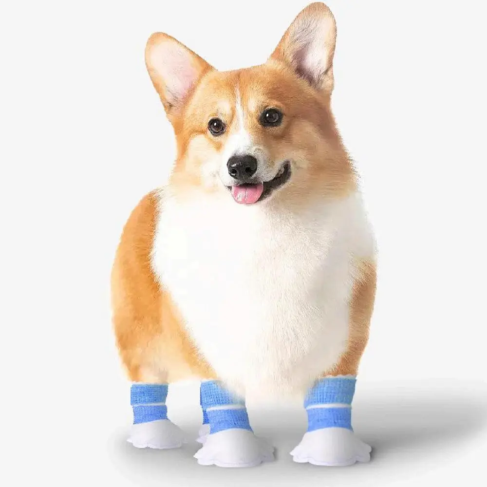 Disposable Pet Booties