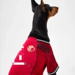 Manchester United Pet Jersey1