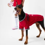 Manchester United Pet Jersey1