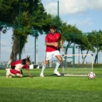 Manchester United Pet Jersey1