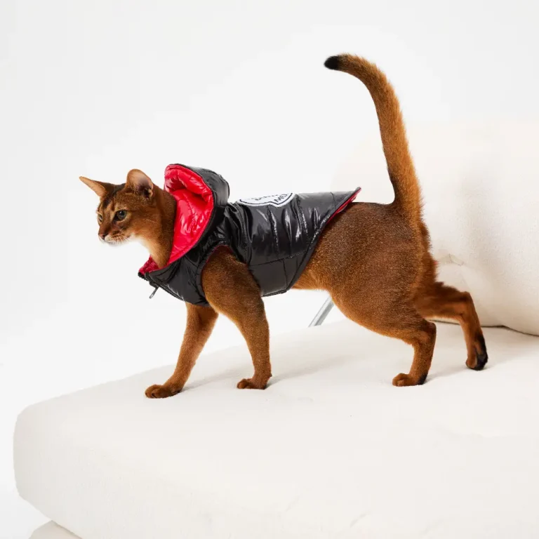 Reversible Moncler down jacket