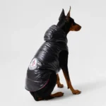 Reversible Moncler down jacket10