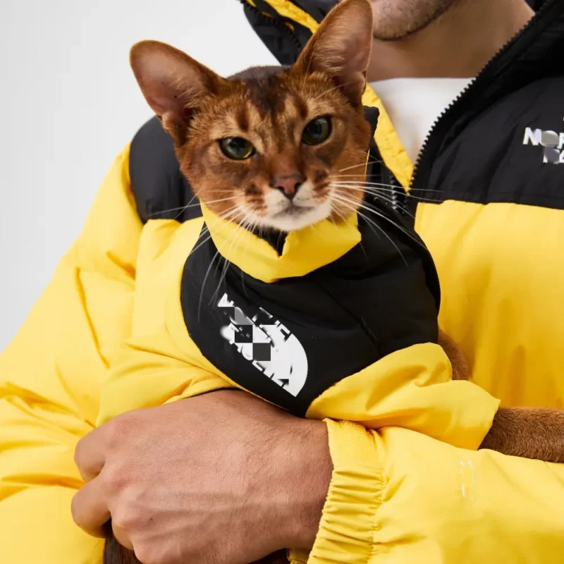 The North Face down jacket Yellow