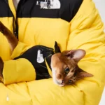 The North Face down jacket Yellow7