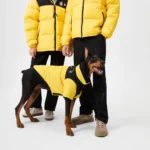 The North Face down jacket Yellow7
