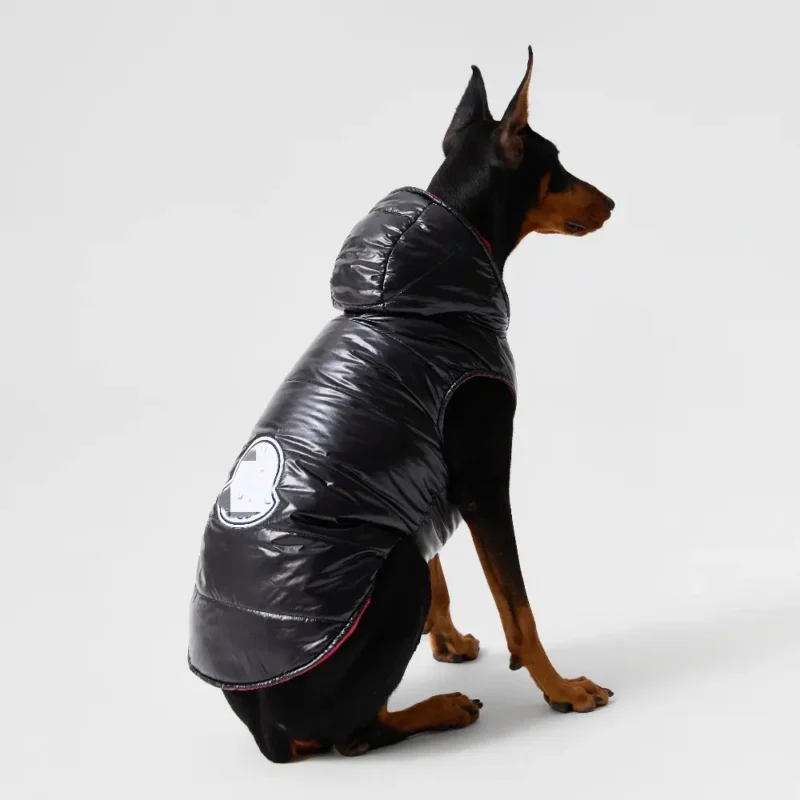 Reversible Moncler down jacket